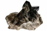 Natural Smoky Quartz Crystal Cluster - Point!!! #104109-3